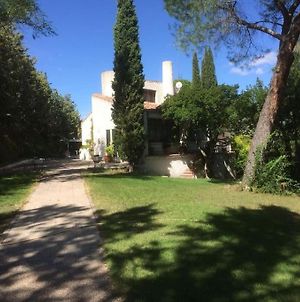 Villa De Los Huertos Perdidos. Mentrida Exterior photo