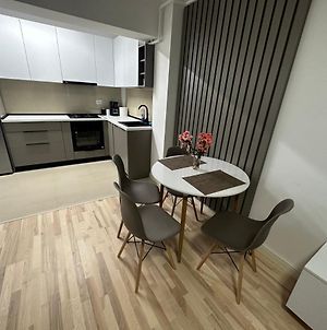 Modern Gray / Designed Apartamento Iasi Exterior photo