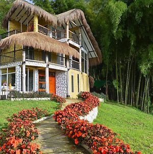 Bambu Chalet Villa Santa Rosa De Cabal Exterior photo