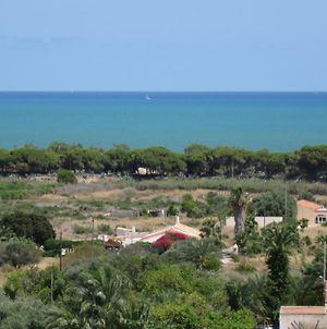 Alicante Area - A La Marina Village Apartment With Great Sea Views 800M Country Walk To Beach Exterior photo
