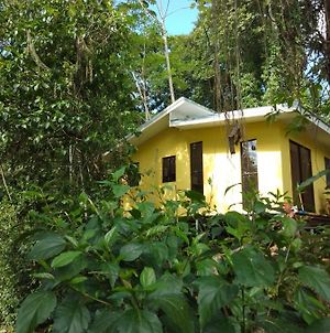 Caribbean Forest Cabins Villa Puerto Viejo de Talamanca Exterior photo