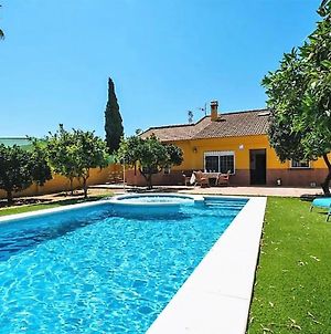 Stunning Home In Almensilla With Outdoor Swimming Pool, Wifi And Private Swimming Pool Exterior photo