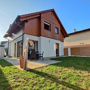 House For Familiy, Friends And Business Villa Schwechat Exterior photo