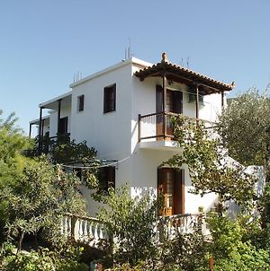Platanakia Apartamento Skopelos Exterior photo