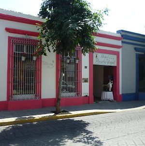Hotel Posada Yagul Oaxaca Exterior photo
