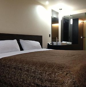 Hotel Amazonas México DF Room photo