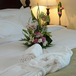Tulip Inn Royal Suites Ajmán Room photo