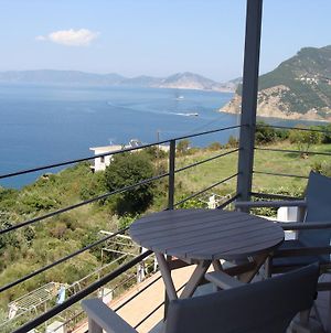 Sea View Studios Skopelos Exterior photo