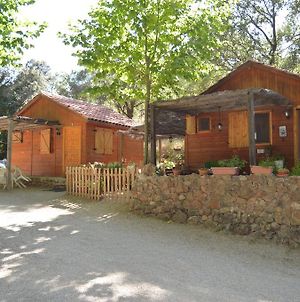 Cabañas Camping Sierra de Peñascosa Hotel Exterior photo