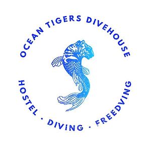 Ocean Tigers Dive House Albergue Cabo San Lucas Exterior photo