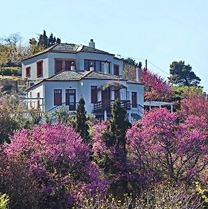 O Stolios Apartamento Skopelos Exterior photo