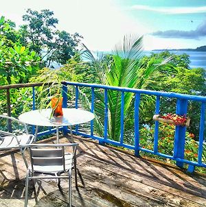 Mosana Reef Garden B&B Bocas del Toro Exterior photo