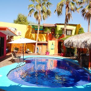Leo's Baja Oasis Hotel La Paz Exterior photo