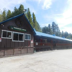 The Tamarack Lodge Lakeshore Exterior photo