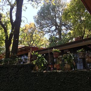 Bungalow Zona Bosque Villa Cuernavaca Exterior photo