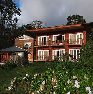 Hotel Bosque Verde Lodge Monteverde Exterior photo
