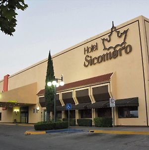 Hotel Sicomoro Chihuahua Exterior photo