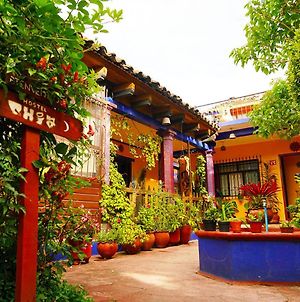 Qhia Hostel San Cristóbal de Las Casas Exterior photo