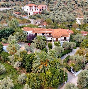 Villa Ble Skopelos Exterior photo