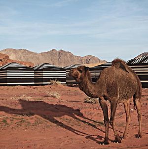 Desert Melody Hotel Wadi Rum Exterior photo