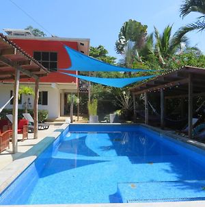 Turtle Beach House Bed and Breakfast Bocas del Toro Exterior photo