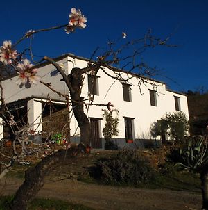 Casa Rural El Paraje de Berchules Villa Exterior photo
