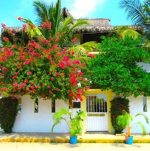 Guacamole Guesthouse Puerto Escondido  Exterior photo