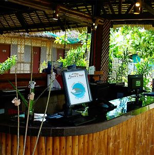 Purple Snapper Dive Resort - Hostel/Backpacker Accommodation Isla de Malapascua Exterior photo