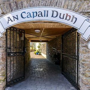 An Capall Dubh B&B Dingle Exterior photo