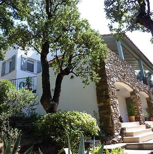 Les Mimosas Villa Collioure Exterior photo