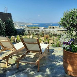 Kipos Villas And Suites Mykonos Town Exterior photo