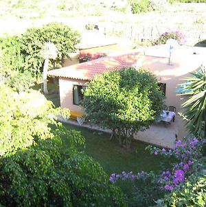 Finca La Gaviota - El Mango Villa Icod De Los Vinos Exterior photo