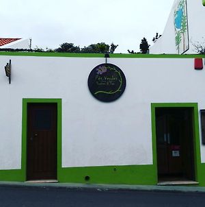 Pés Verdes-Alojamento e Chá Albergue Ponta Delgada Exterior photo