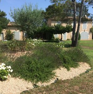 Mas des Amarines Villa Saint-Rémy-de-Provence Exterior photo