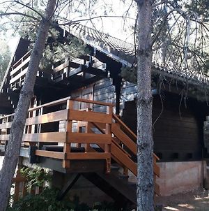 Cañon del río Lobos-La cabaña de Ton Villa San Leonardo de Yagüe Exterior photo