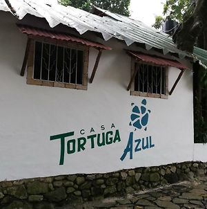 Casa Tortuga Azul Hotel Palenque Exterior photo