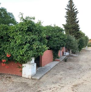 Casa de Campo con encanto cerca de Chiclana Hostal Medina-Sidonia Exterior photo