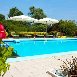 Ca' Leone - Sans Souci - Apartment In Villa With Pool Mira Exterior photo
