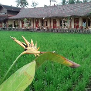 Rice Padi Artha Hotel Ubud Exterior photo