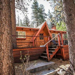 Cabin Idle Ours-933 By Big Bear Vacations Villa Fawnskin Exterior photo