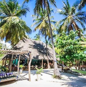 Your Zanzibar Place Albergue Paje Exterior photo