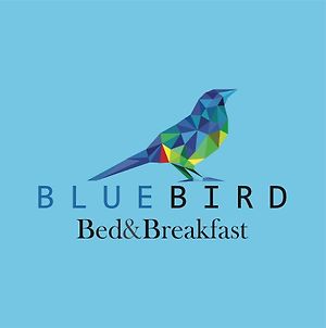 Blue Bird Bed And Breakfast Cuenca Exterior photo